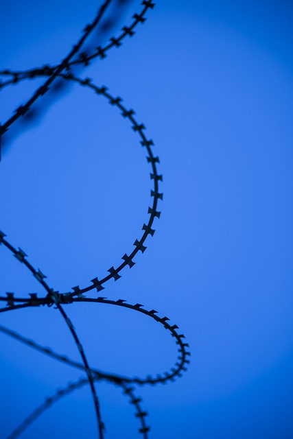 barb wire prison